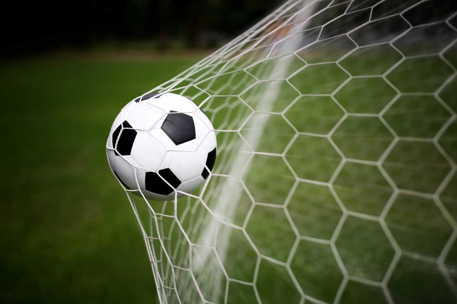Soccer Field Netting Carolina Sports Concepts